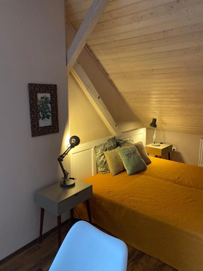 Apartmany Rudik เชเลซนารูดา ภายนอก รูปภาพ